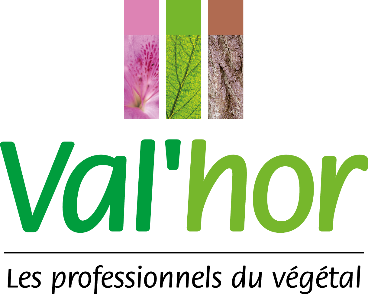 valhor