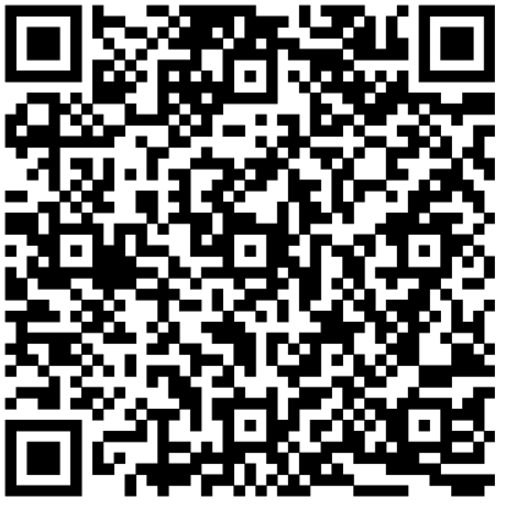 Pyrogazeification Pyrogazeification